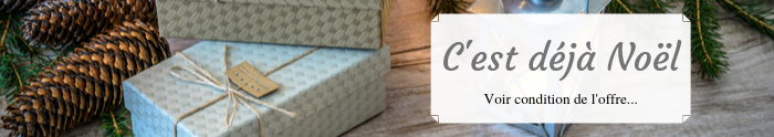 C'est déjà Noël bandeau site